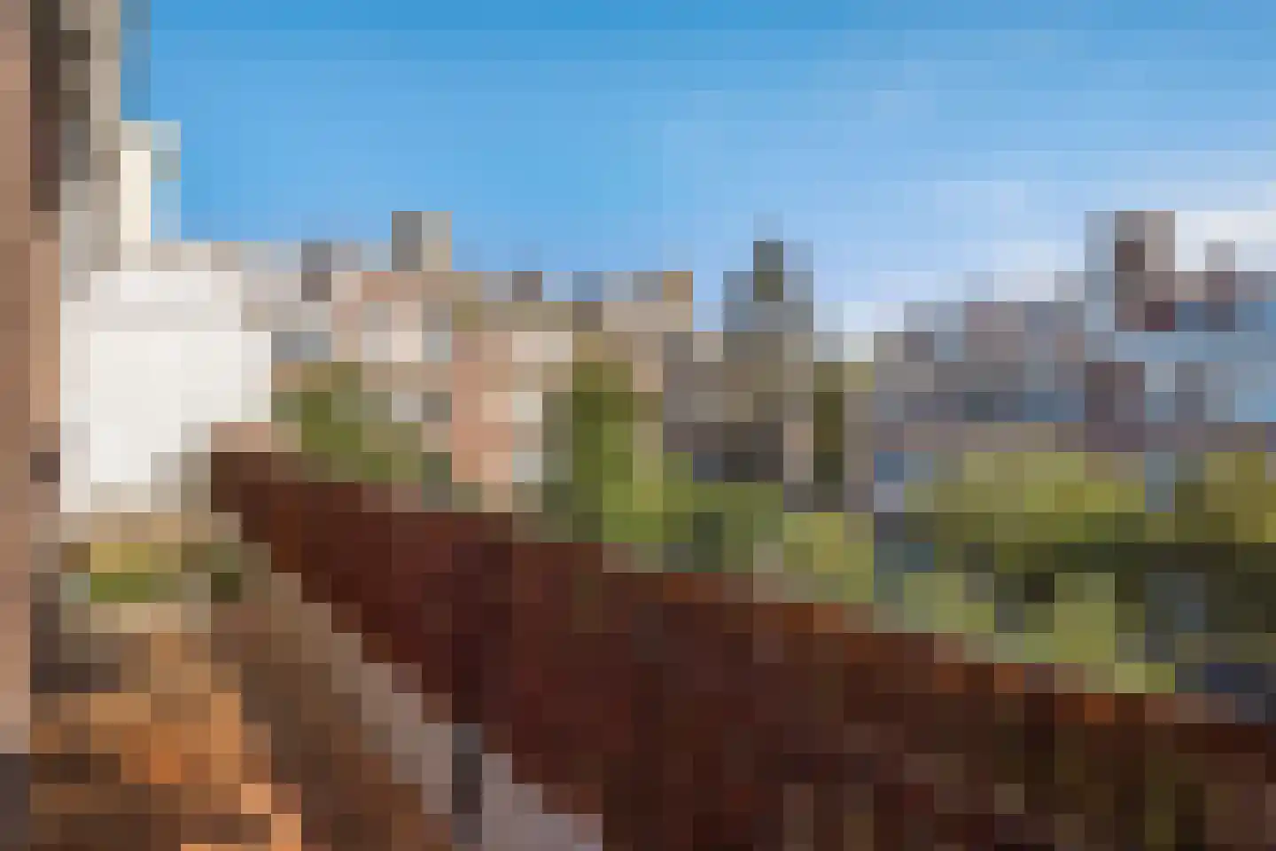 Hoefbladlaan 61 Den Haag thumbnail 13