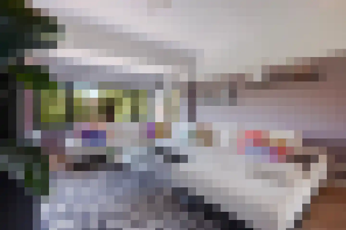 Hoefbladlaan 61 Den Haag thumbnail 21