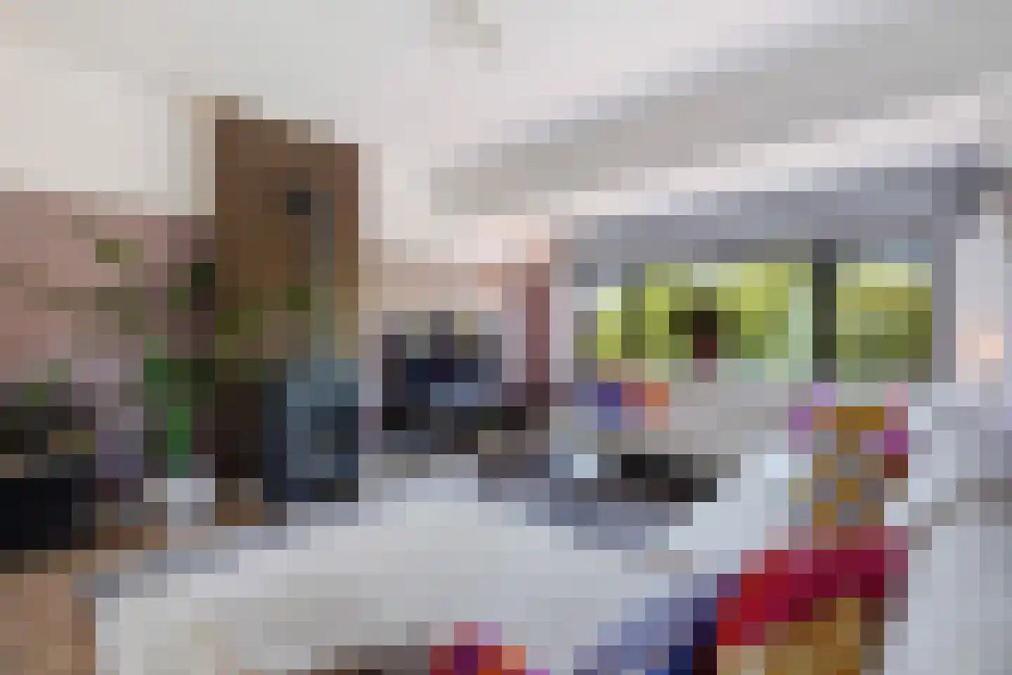 Hoefbladlaan 61 Den Haag thumbnail 22