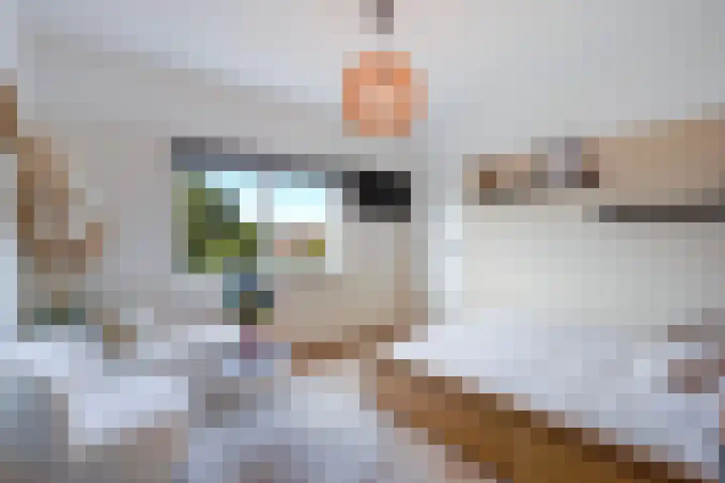Hoefbladlaan 61 Den Haag thumbnail 38