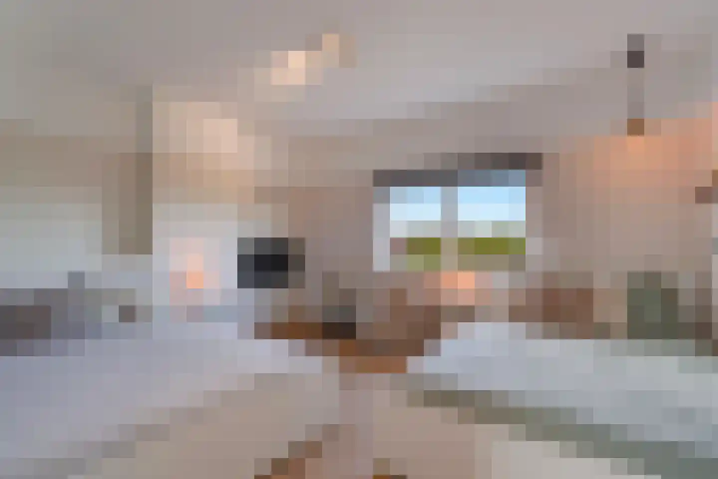 Hoefbladlaan 61 Den Haag thumbnail 43