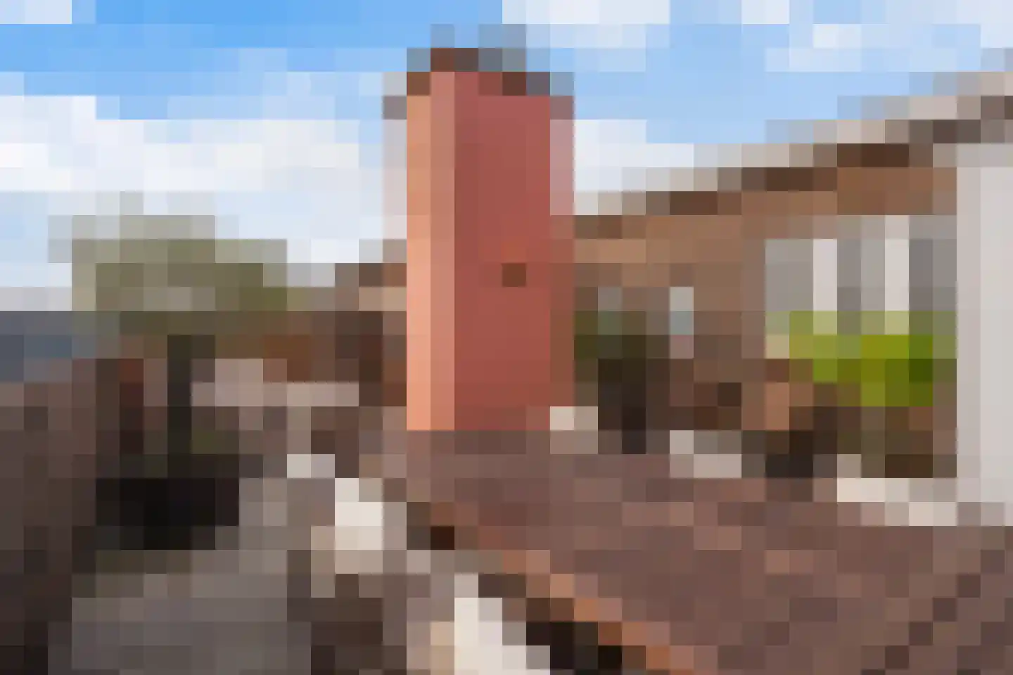 Hoefbladlaan 61 Den Haag thumbnail 53