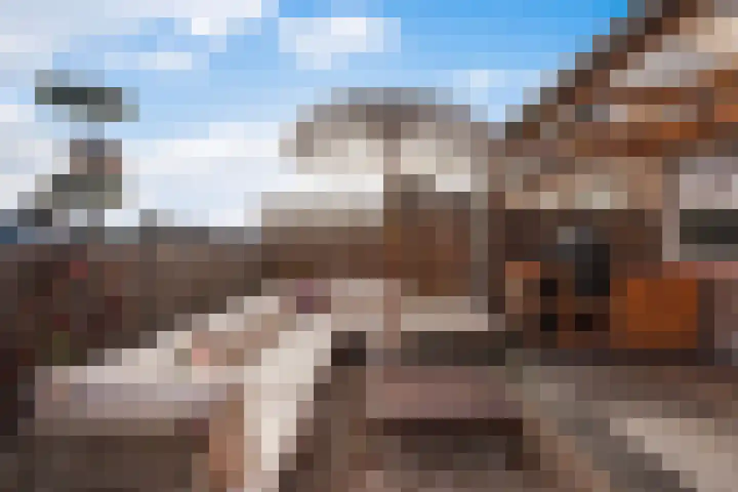 Hoefbladlaan 61 Den Haag thumbnail 54