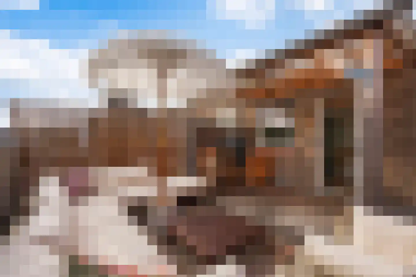 Hoefbladlaan 61 Den Haag thumbnail 55