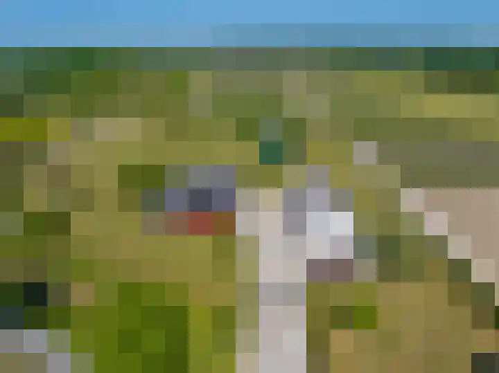 Hoefbladlaan 63 Papendrecht thumbnail 13
