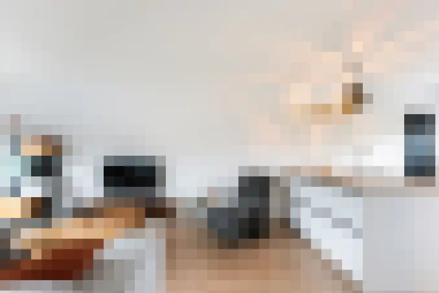 Hoefbladlaan 63 Papendrecht thumbnail 13