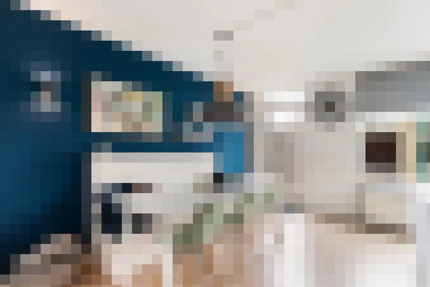 Hoefbladlaan 63 Papendrecht thumbnail 14