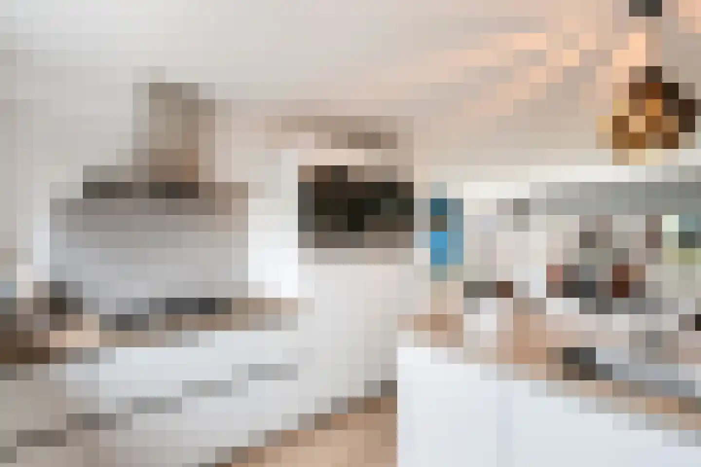 Hoefbladlaan 63 Papendrecht thumbnail 22