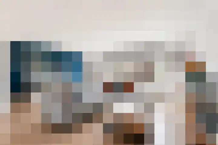 Hoefbladlaan 63 Papendrecht thumbnail 23