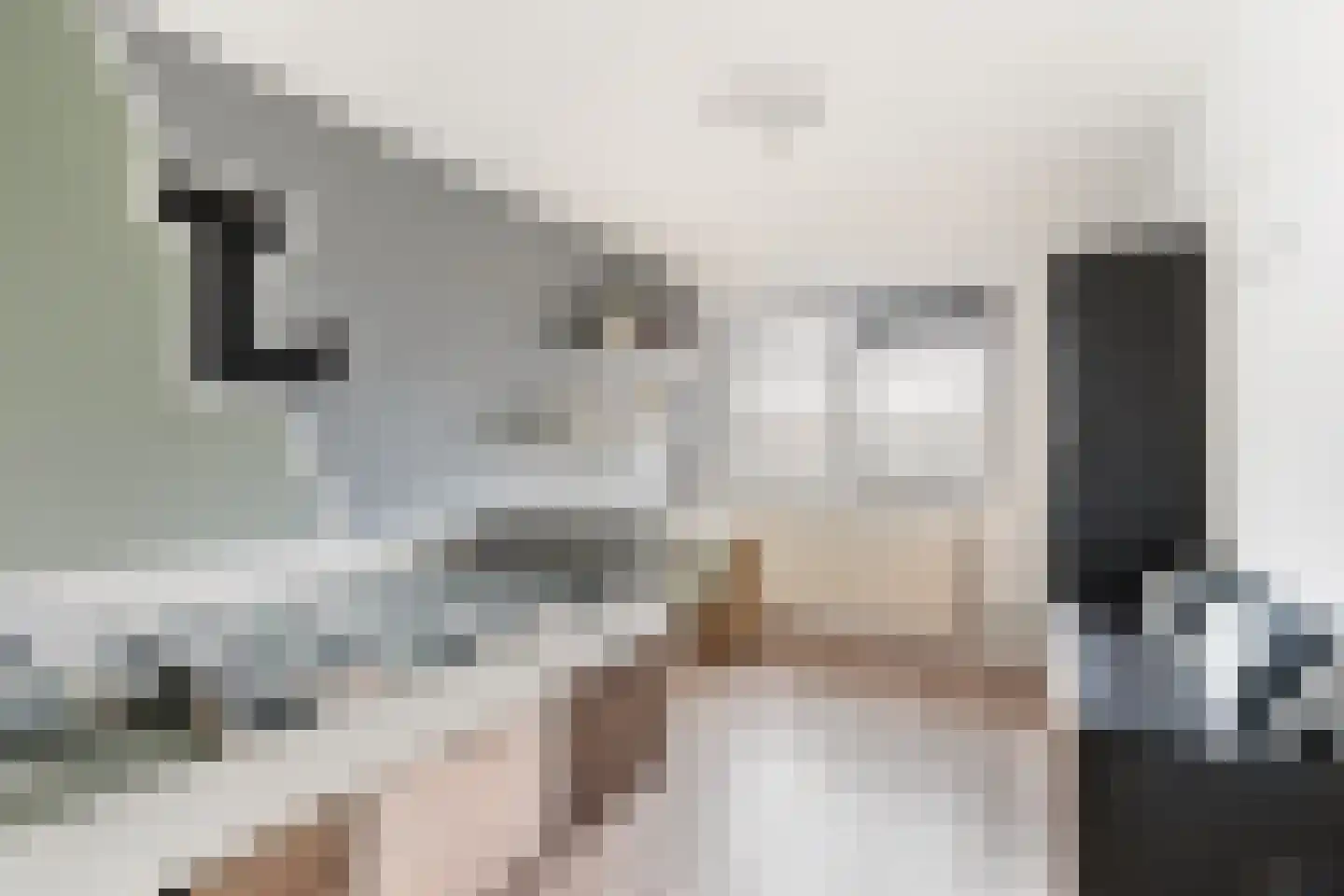 Hoefbladlaan 63 Papendrecht thumbnail 27