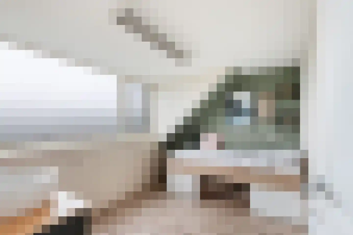 Hoefbladlaan 63 Papendrecht thumbnail 31