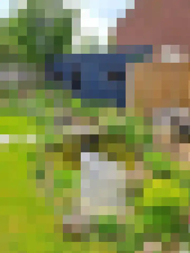 Hoefbladlaan 63 Papendrecht thumbnail 34