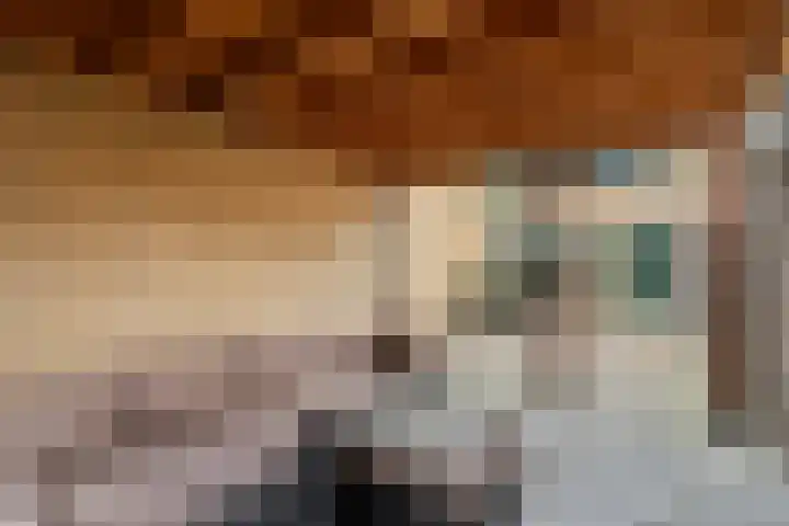 Hoefbladlaan 63 Papendrecht thumbnail 36