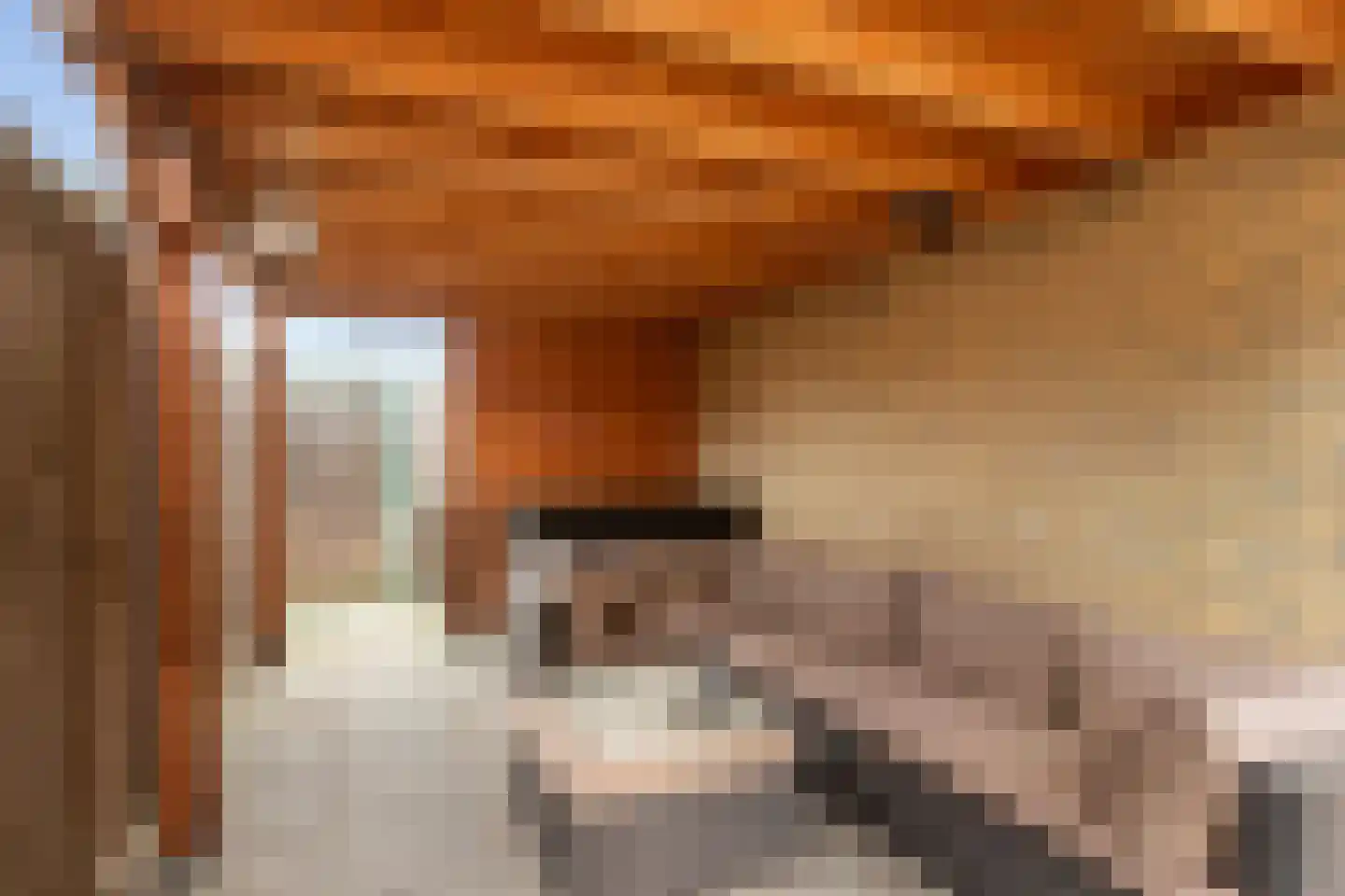 Hoefbladlaan 63 Papendrecht thumbnail 36
