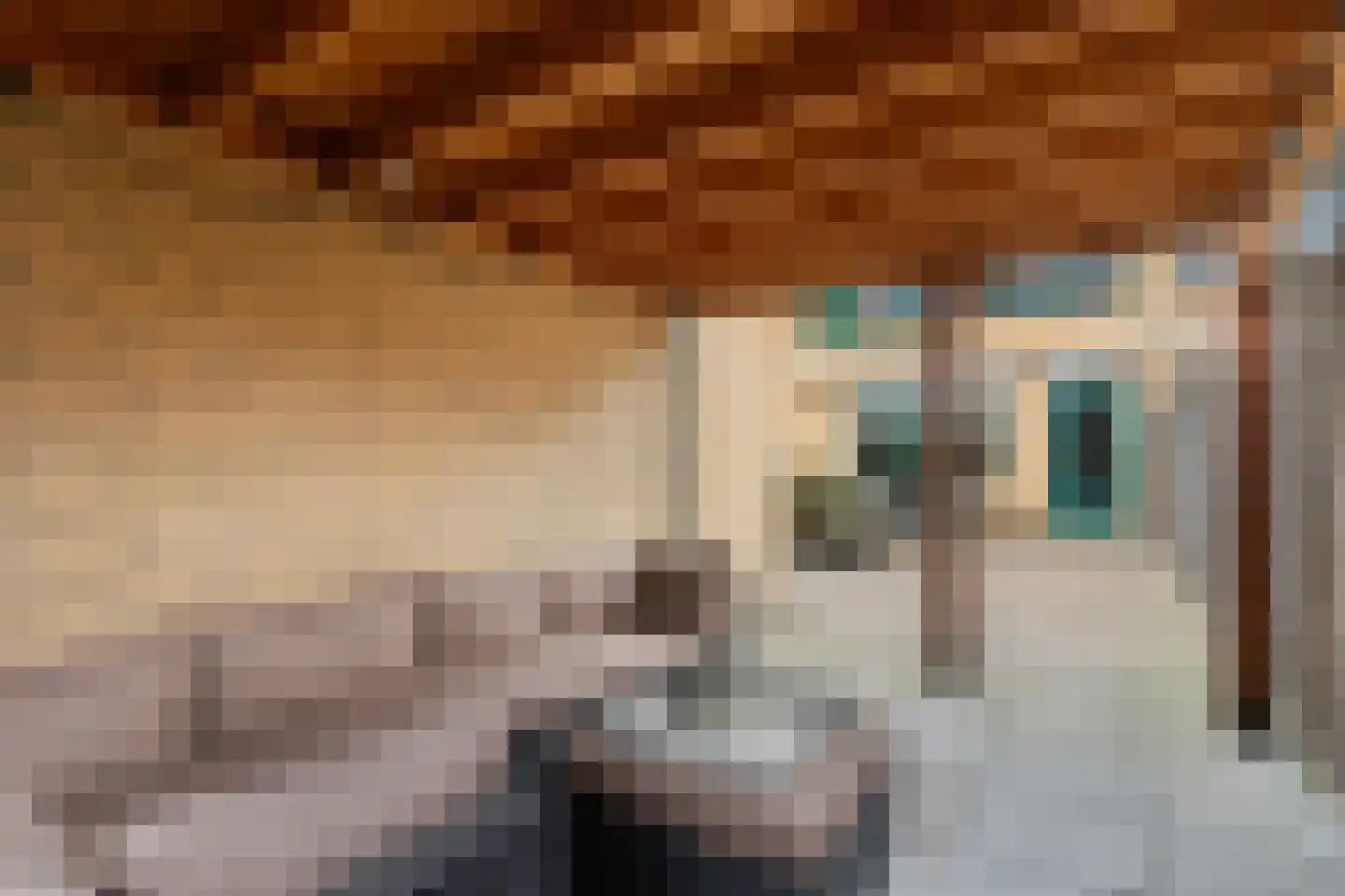 Hoefbladlaan 63 Papendrecht thumbnail 37