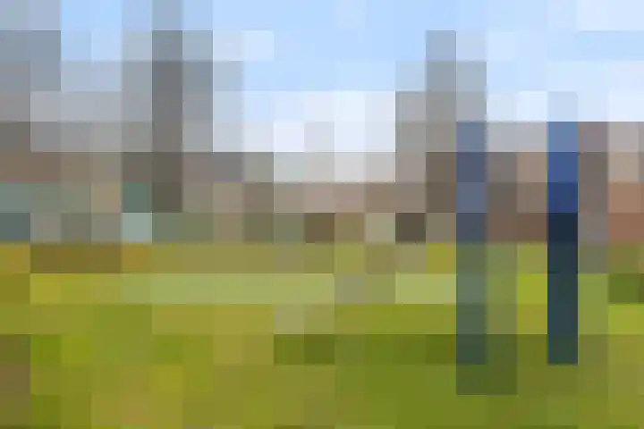Hoefbladlaan 63 Papendrecht thumbnail 40