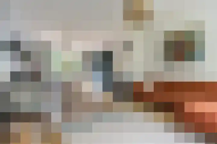 Hoefbladlaan 63 Papendrecht thumbnail 48