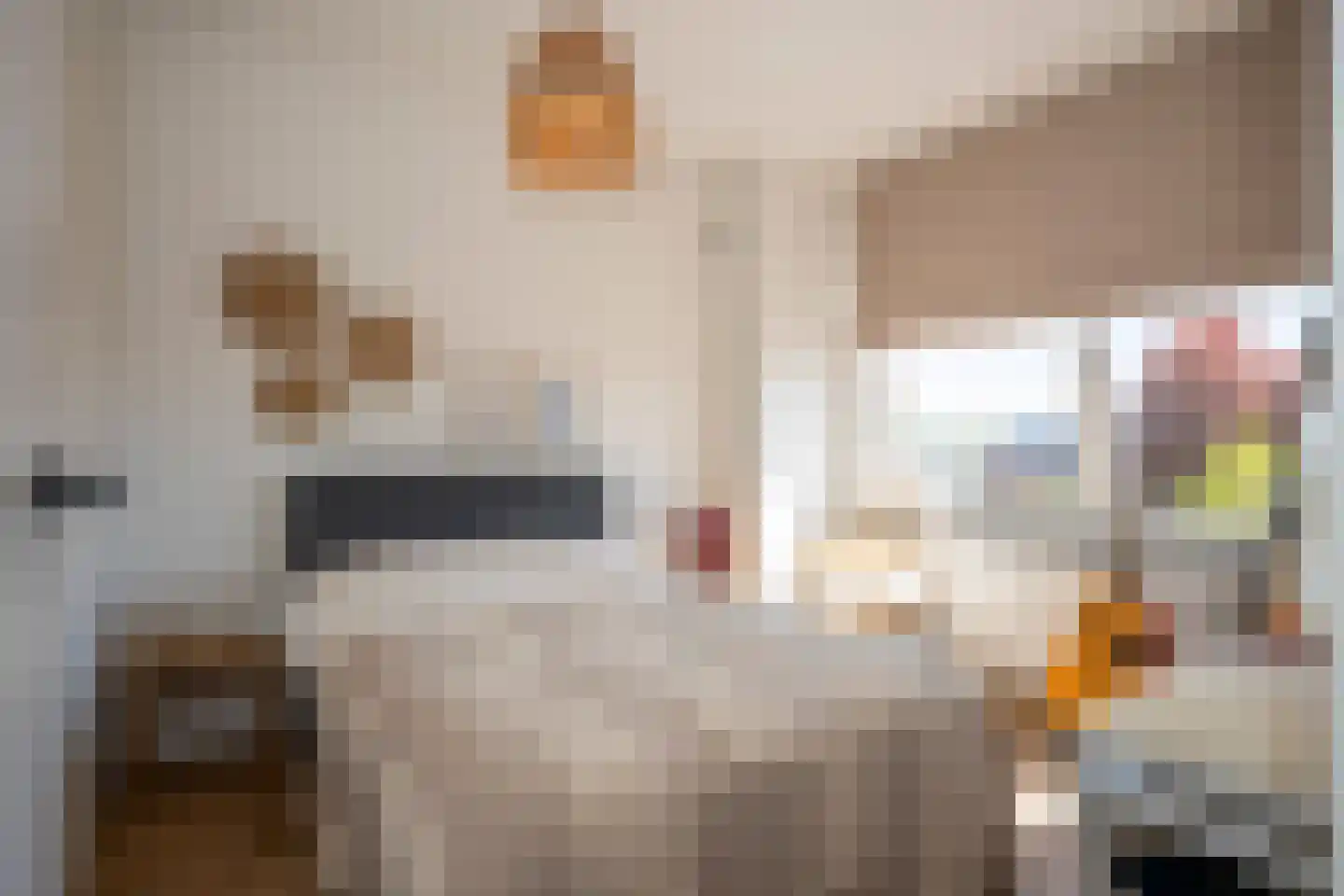 Hoefbladlaan 63 Papendrecht thumbnail 5