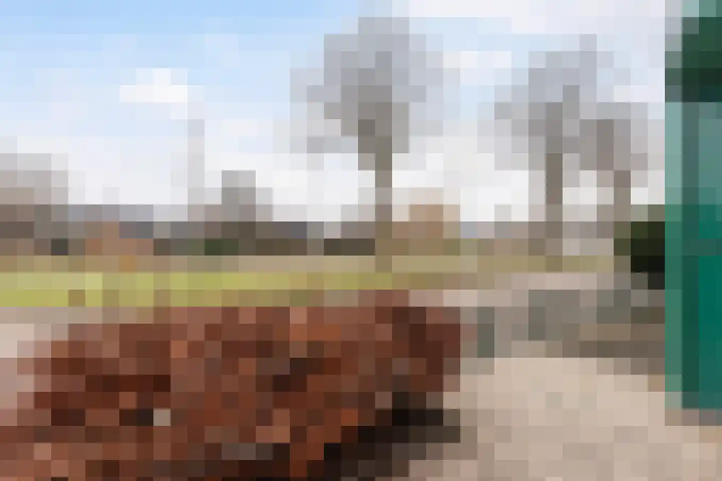 Hoefbladlaan 63 Papendrecht thumbnail 5