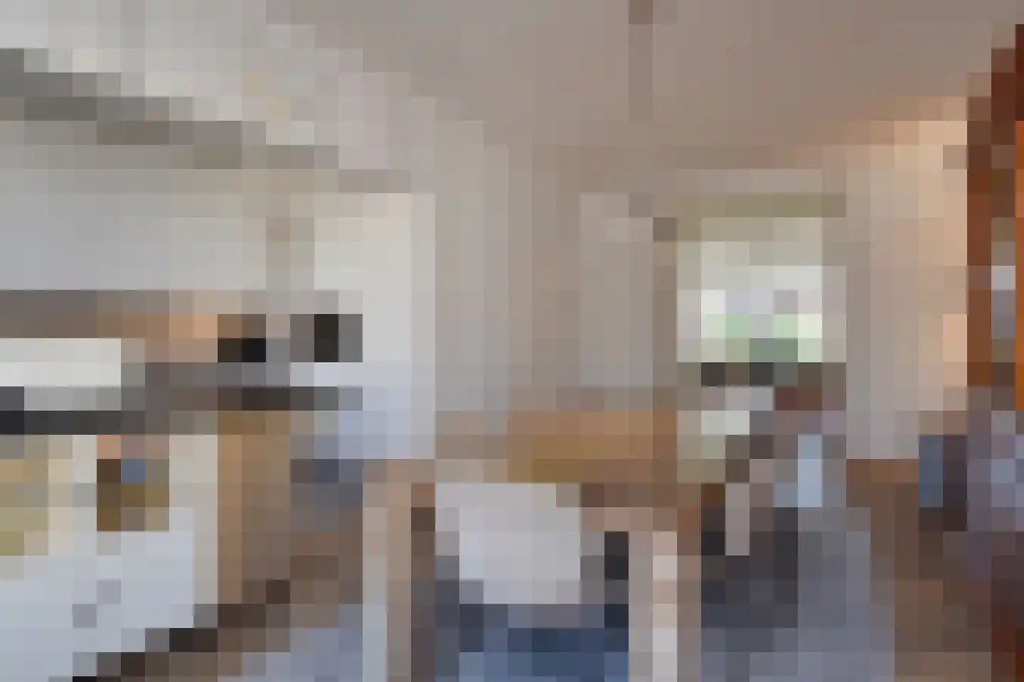 Hoefbladlaan 67 Den Haag thumbnail 20