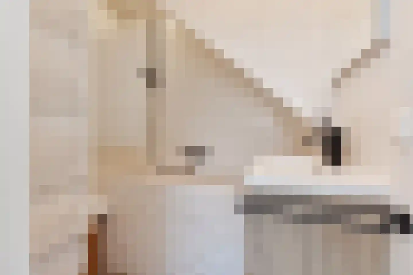Hoefbladlaan 67 Den Haag thumbnail 30