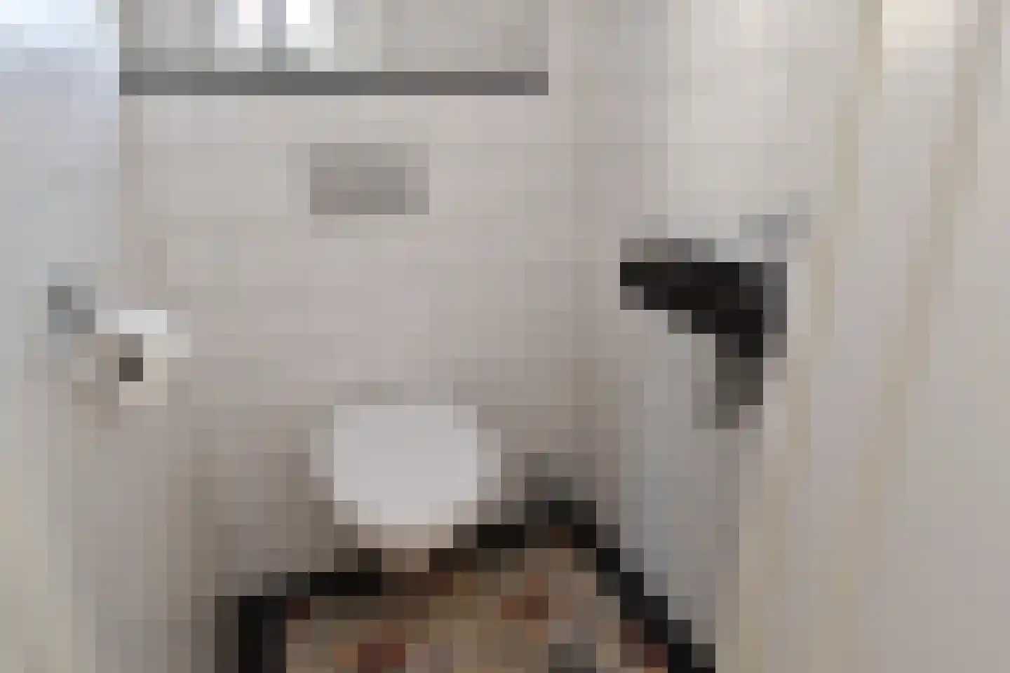 Hoefbladlaan 67 Den Haag thumbnail 38
