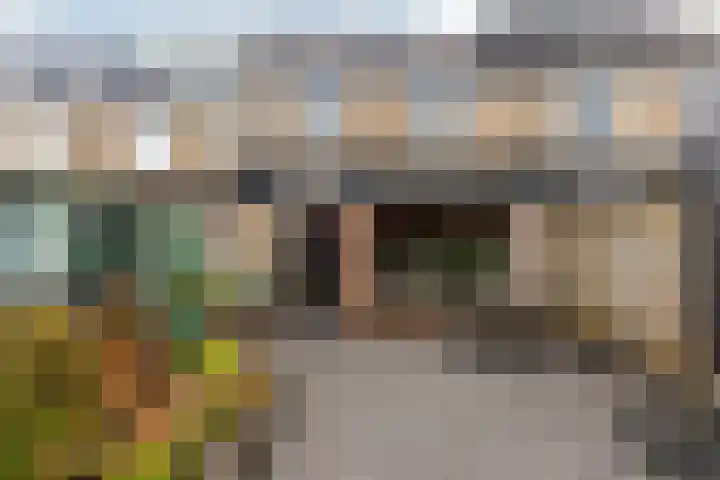 Hoefbladmeen 14 Harderwijk thumbnail 40