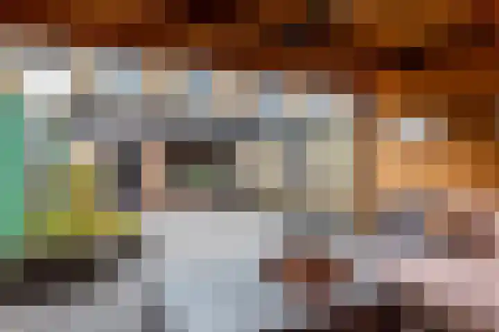 Hoefbladmeen 14 Harderwijk thumbnail 42