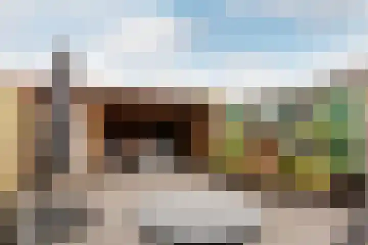 Hoefbladmeen 14 Harderwijk thumbnail 43