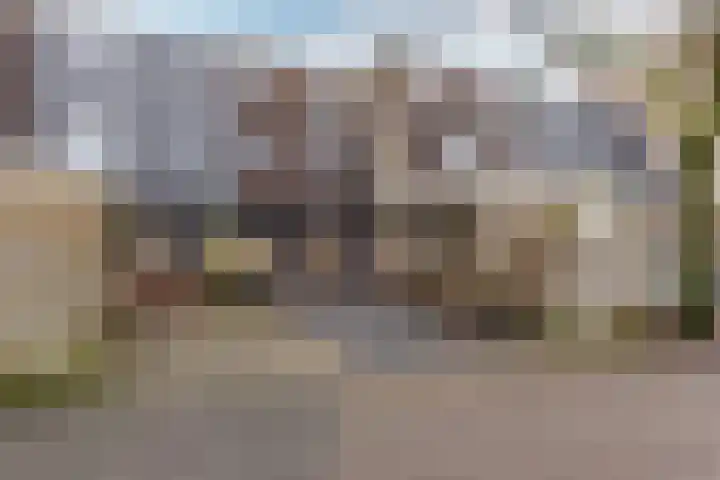 Hoefbladmeen 14 Harderwijk thumbnail 46
