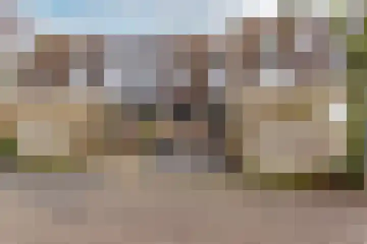 Hoefbladmeen 14 Harderwijk thumbnail 48