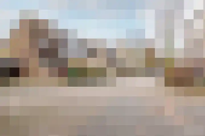 Hoefbladmeen 14 Harderwijk thumbnail 50