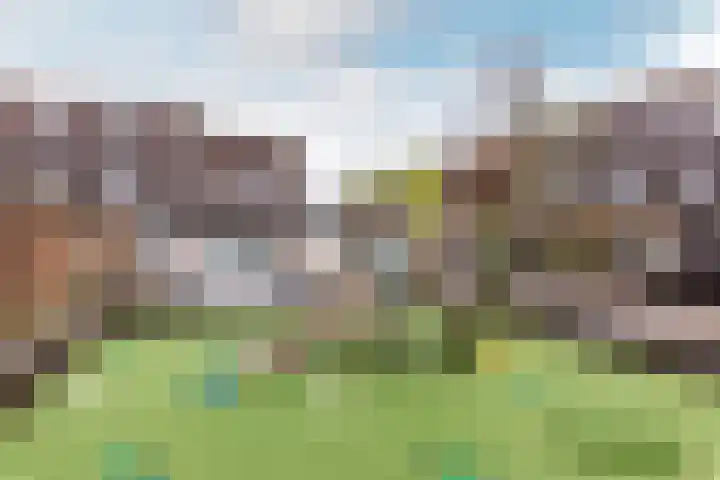 Hoefbladmeen 14 Harderwijk thumbnail 51