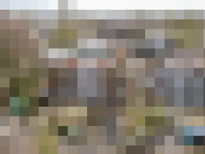 Hoefbladmeen 14 Harderwijk thumbnail 52