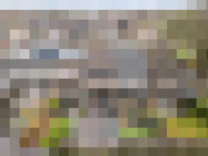 Hoefbladmeen 14 Harderwijk thumbnail 53