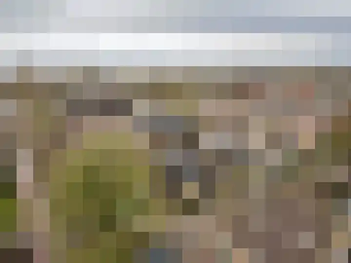 Hoefbladmeen 14 Harderwijk thumbnail 54