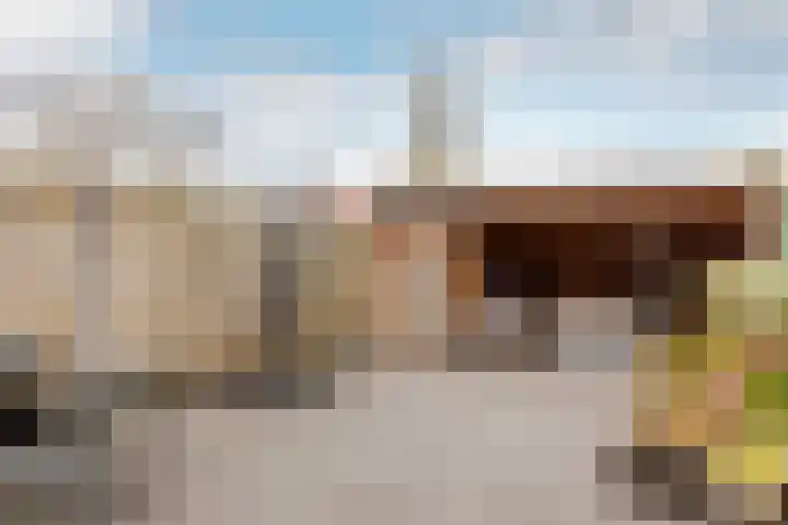 Hoefbladmeen 14 Harderwijk thumbnail 6