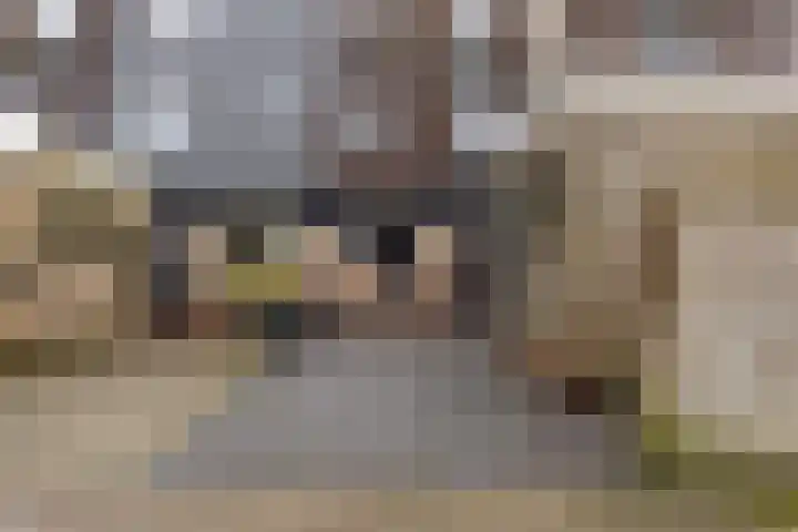 Hoefbladmeen 14 Harderwijk thumbnail 7