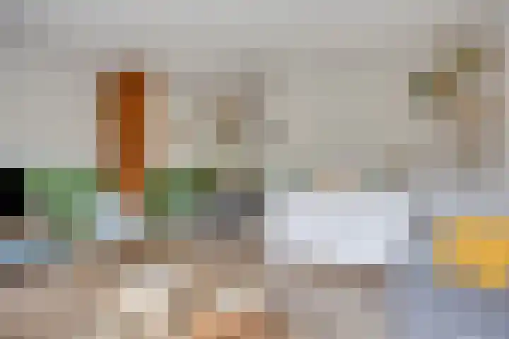 Hoefbladmeen 25 Harderwijk thumbnail 10