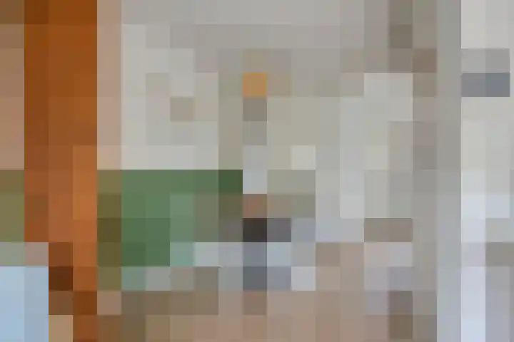 Hoefbladmeen 25 Harderwijk thumbnail 12