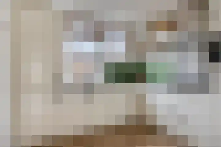 Hoefbladmeen 25 Harderwijk thumbnail 15
