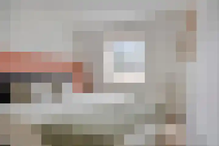 Hoefbladmeen 25 Harderwijk thumbnail 20