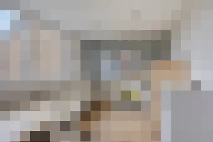 Hoefbladmeen 25 Harderwijk thumbnail 31