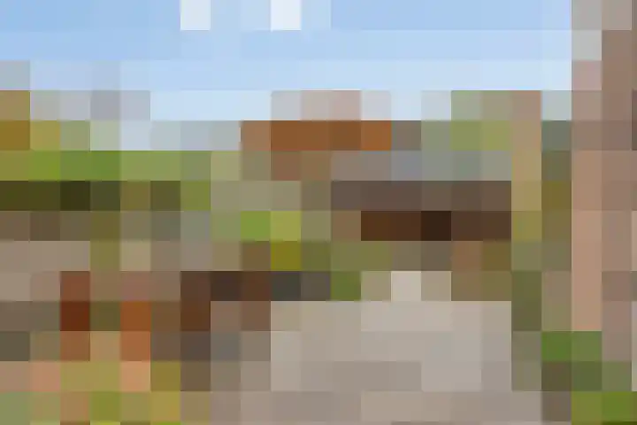 Hoefbladmeen 25 Harderwijk thumbnail 33