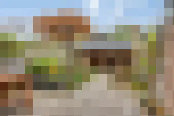 Hoefbladmeen 25 Harderwijk thumbnail 34