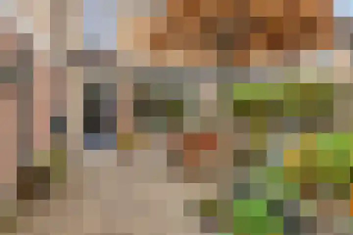 Hoefbladmeen 25 Harderwijk thumbnail 36