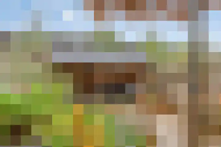 Hoefbladmeen 25 Harderwijk thumbnail 37