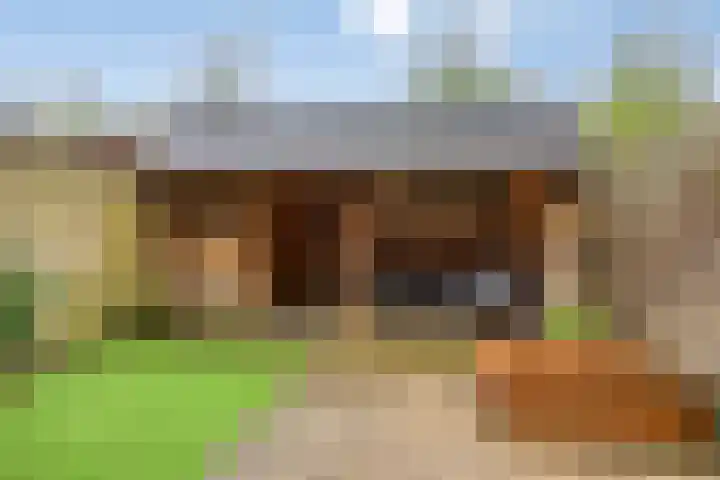 Hoefbladmeen 25 Harderwijk thumbnail 38