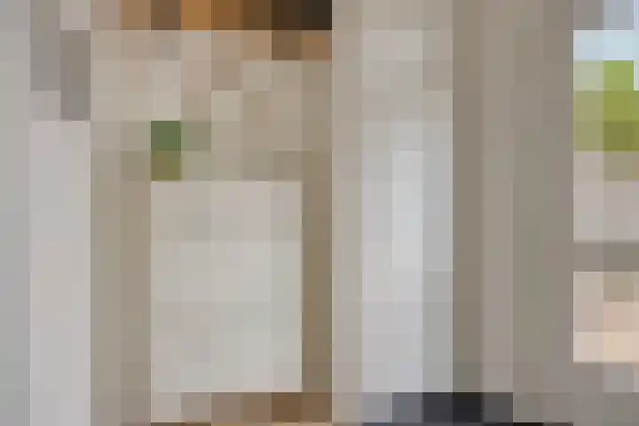 Hoefbladmeen 25 Harderwijk thumbnail 4