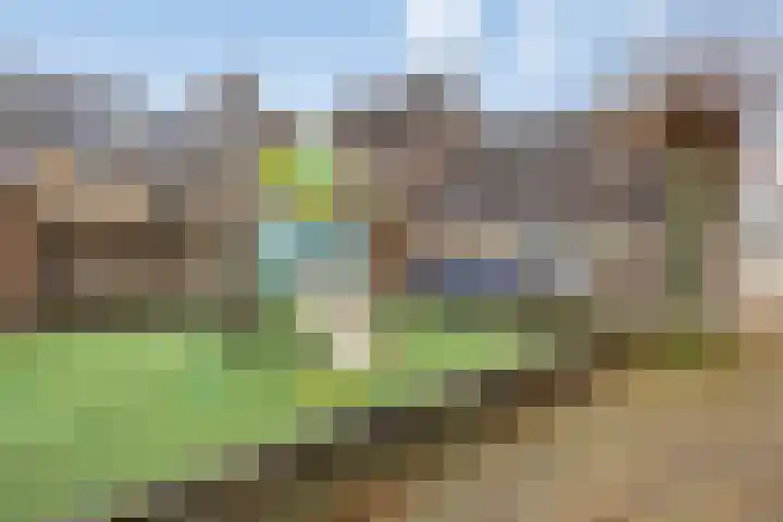 Hoefbladmeen 25 Harderwijk thumbnail 40